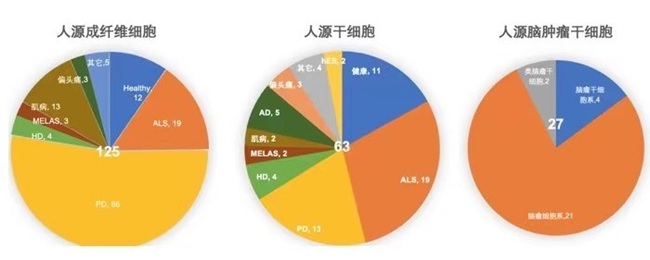 干细胞1.jpg